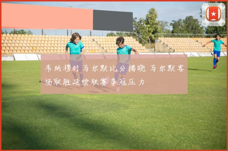 韦纳穆对马尔默比分揭晓 马尔默客场取胜延续联赛争冠压力
