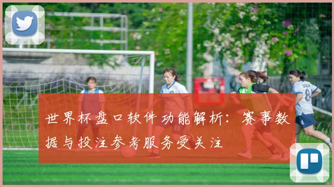 世界杯盘口软件功能解析：赛事数据与投注参考服务受关注