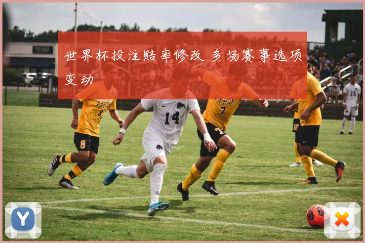世界杯投注赔率修改 多场赛事选项变动