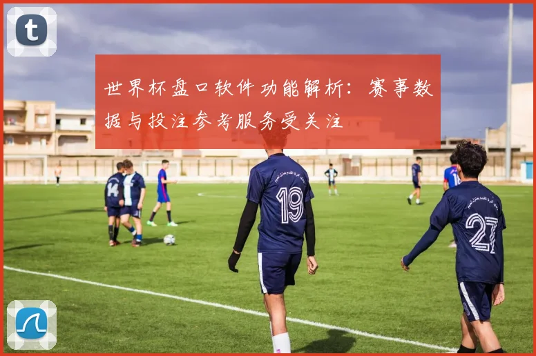 世界杯盘口软件功能解析:赛事数据与投注参考服务受关注