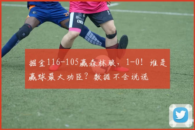 掘金116-105赢森林狼，1-0！谁是赢球最大功臣？数据不会说谎