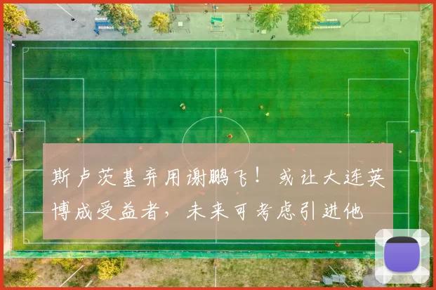 斯卢茨基弃用谢鹏飞!或让大连英博成受益者,未来可考虑引进他