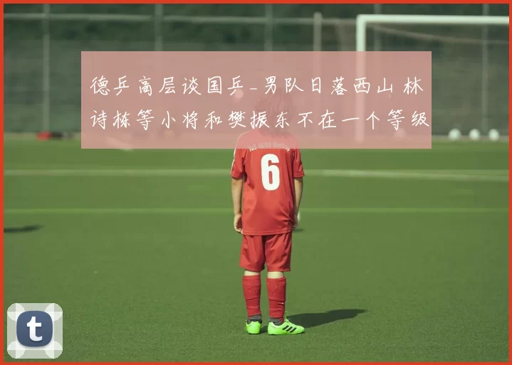 德乒高层谈国乒_男队日落西山 林诗栋等小将和樊振东不在一个等级