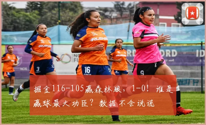 掘金116-105赢森林狼，1-0！谁是赢球最大功臣？数据不会说谎