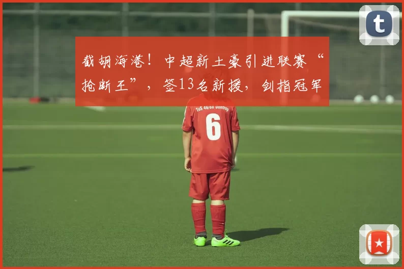 截胡海港！中超新土豪引进联赛“抢断王”，签13名新援，剑指冠军_杨希_赛季_西海岸